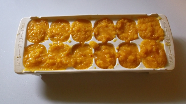 Pumpkin puree frozen in cubes.